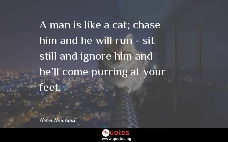 A man is like a cat; chase him and he will run - sit still and ignore him and he'll come purring at your feet.