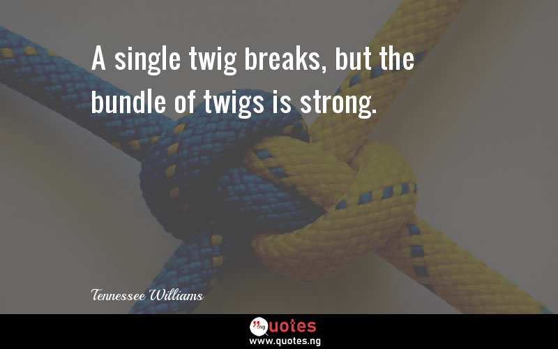 A single twig breaks, but the bundle of twigs is strong.