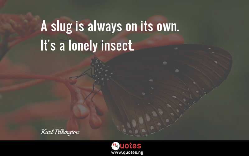 A slug is always on its own. It's a lonely insect.