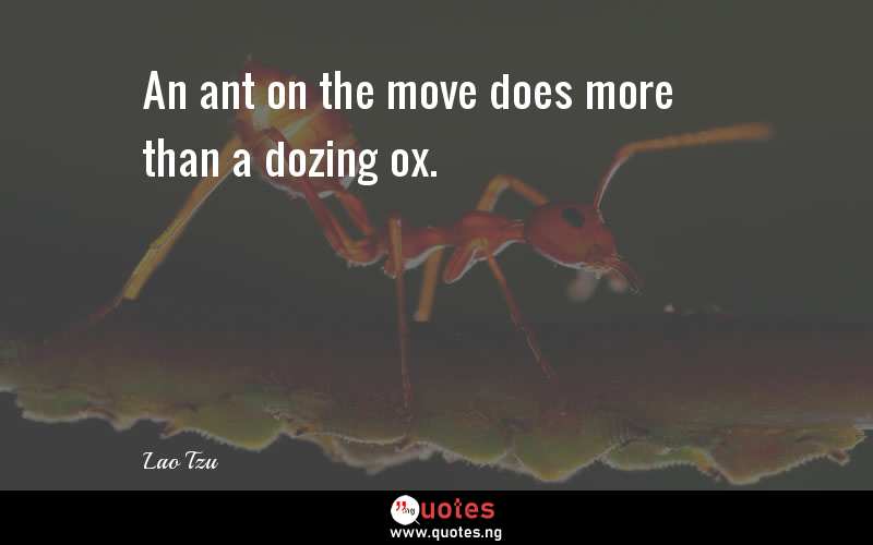 An ant on the move does more than a dozing ox.