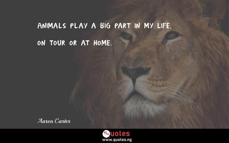 Animals play a big part in my life, on tour or at home.
