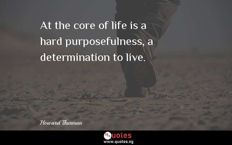 At the core of life is a hard purposefulness, a determination to live.