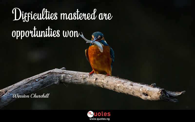Difficulties mastered are opportunities won.