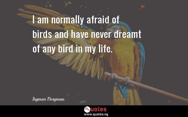 I am normally afraid of birds and have never dreamt of any bird in my life.