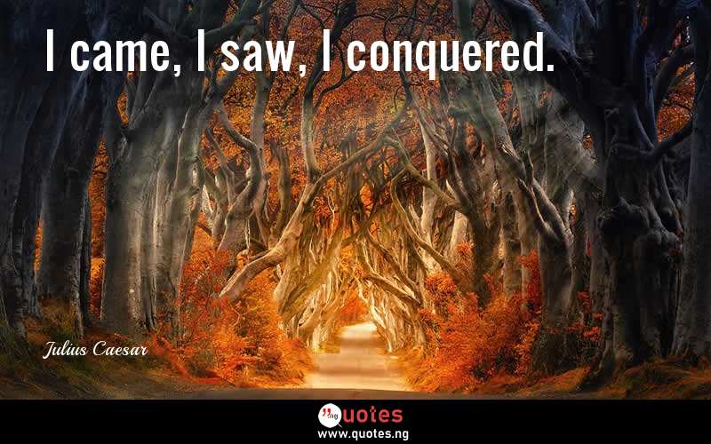 I came, I saw, I conquered. - Julius Caesar  Quotes