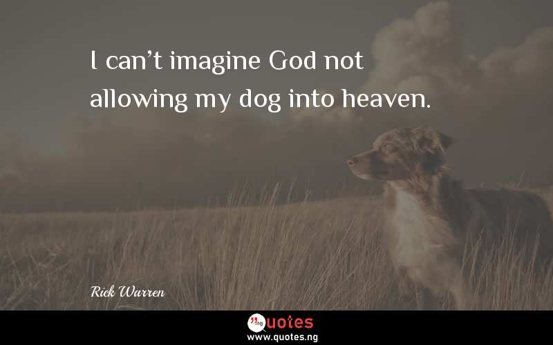 I can't imagine God not allowing my dog into heaven.