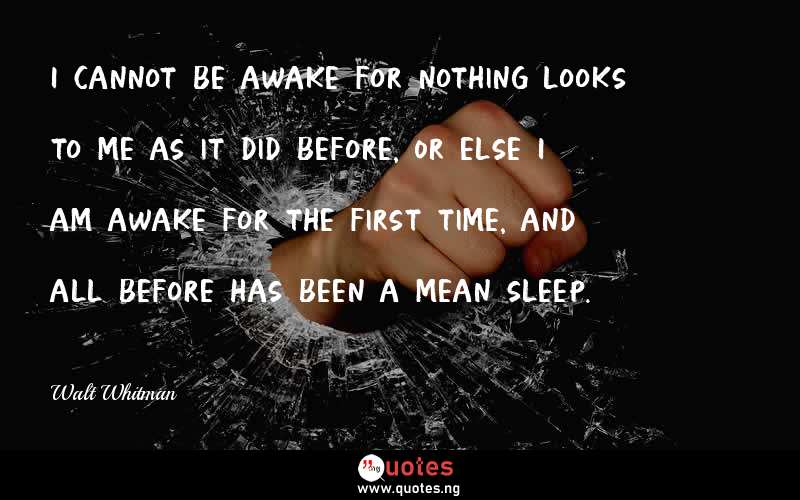 I cannot be awake for nothing looks to me as it did before, Or else I am awake for the first time, and all before has been a mean sleep.