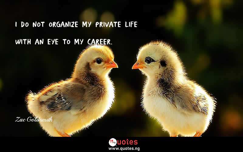 I do not organize my private life with an eye to my career.