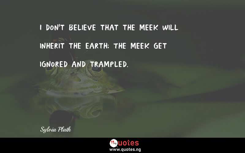 I don't believe that the meek will inherit the earth; The meek get ignored and trampled.