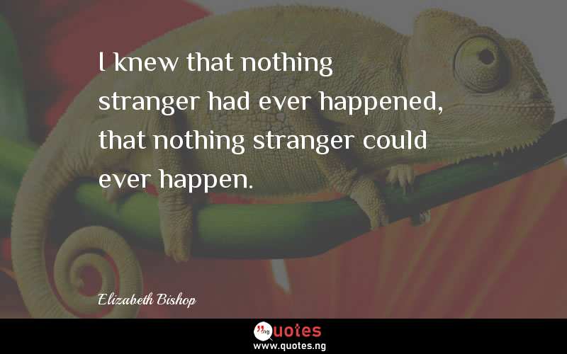 I knew that nothing stranger had ever happened, that nothing stranger could ever happen.