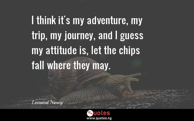 I think it's my adventure, my trip, my journey, and I guess my attitude is, let the chips fall where they may.
