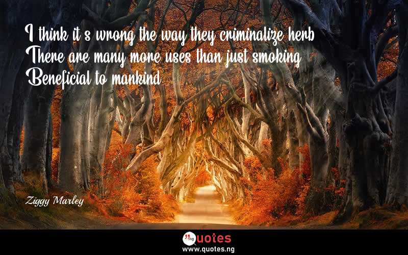 I think it's wrong the way they criminalize herb. There are many more uses than just smoking. Beneficial to mankind