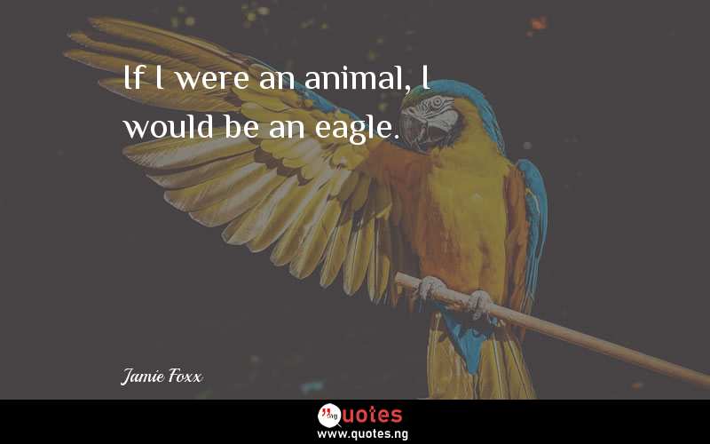 If I were an animal, I would be an eagle.