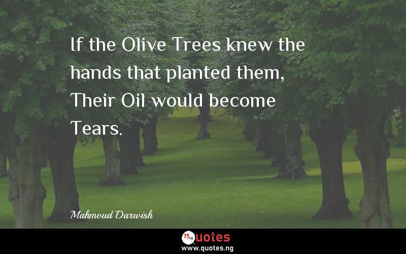 If the Olive Trees knew the hands that planted them, Their Oil would become Tears.