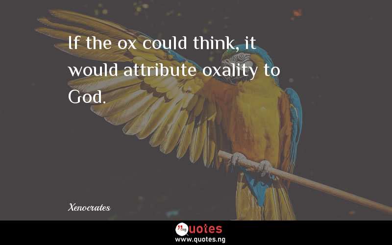 If the ox could think, it would attribute oxality to God.