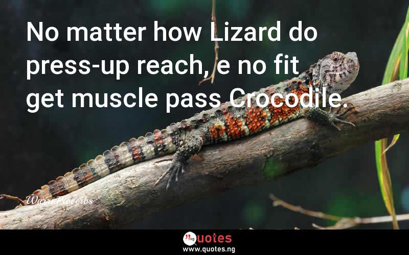 No matter how Lizard do press-up reach, e no fit get muscle pass Crocodile. - Pidgin Sayings  Quotes