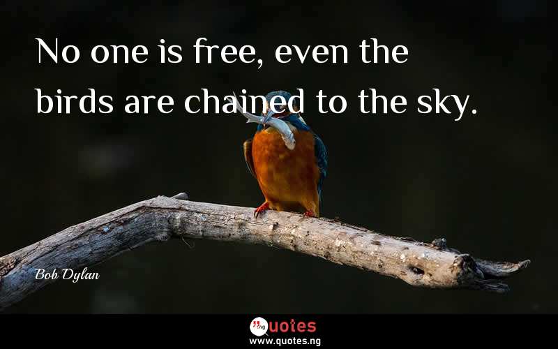 No one is free, even the birds are chained to the sky.