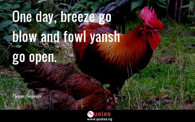 One day, breeze go blow and fowl yansh go open.