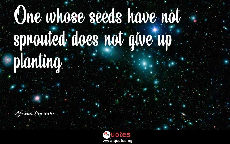 One whose seeds have not sprouted does not give up planting.  - African Proverbs  Quotes