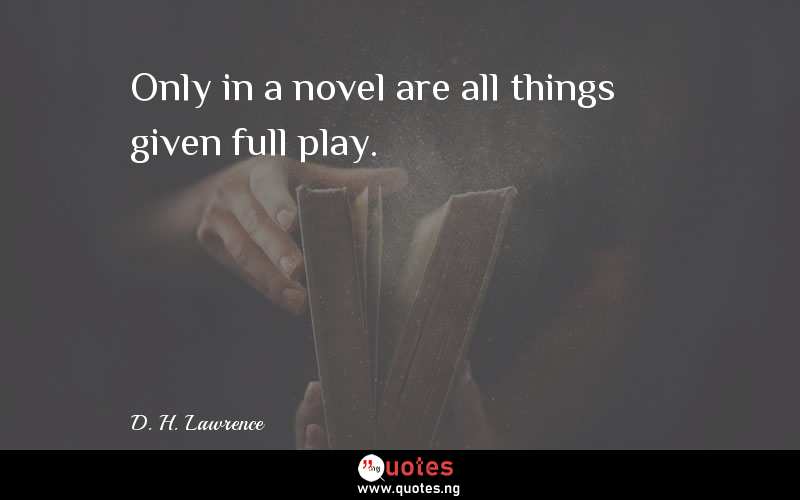 Only in a novel are all things given full play.