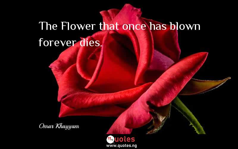 The Flower that once has blown forever dies.