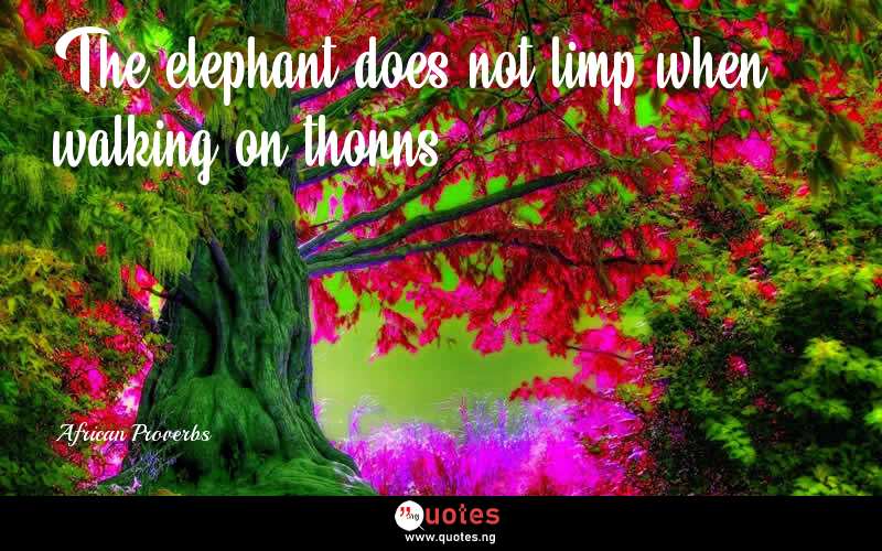 The elephant does not limp when walking on thorns. - African Proverbs  Quotes