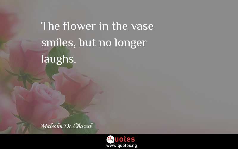The flower in the vase smiles, but no longer laughs.