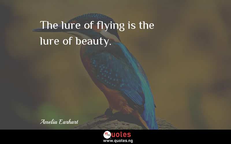 The lure of flying is the lure of beauty.