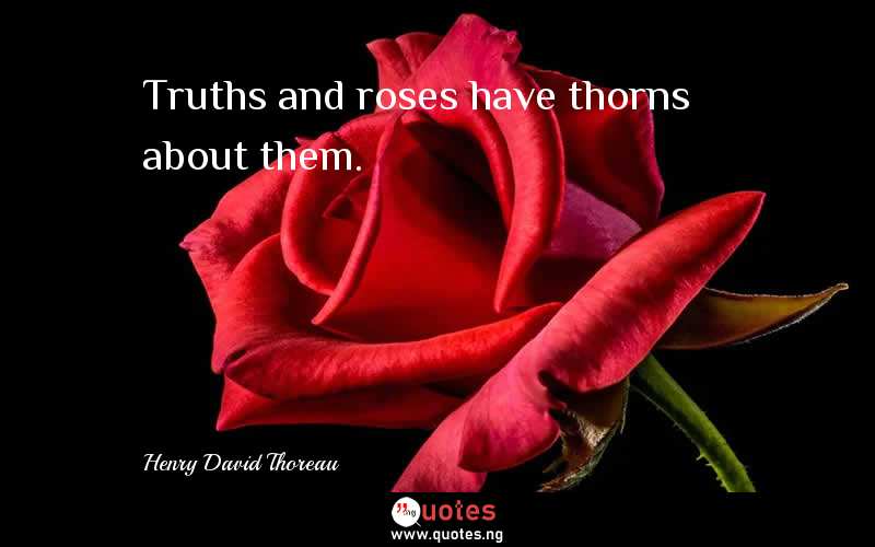 Truths and roses have thorns about them.