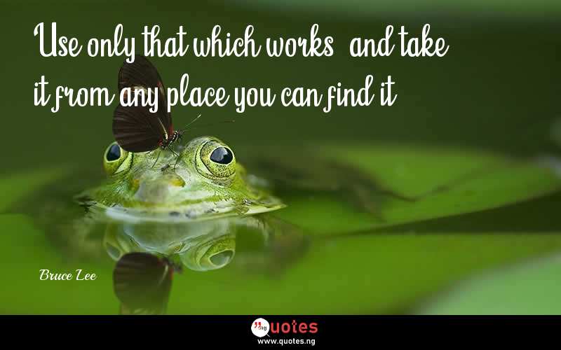 Use only that which works, and take it from any place you can find it. - Bruce Lee  Quotes