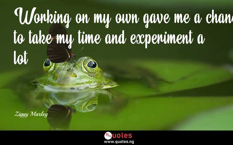 Working on my own gave me a chance to take my time and experiment a lot. - Ziggy Marley  Quotes