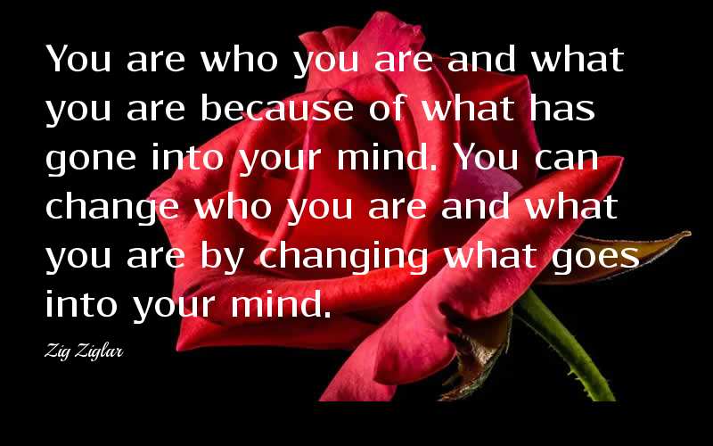 You are who you are and what you are because of what has gone into your mind. You can change who you are and what you are by changing what goes into your mind. - Zig Ziglar  Quotes