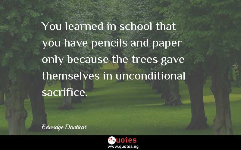 You learned in school that you have pencils and paper only because the trees gave themselves in unconditional sacrifice.