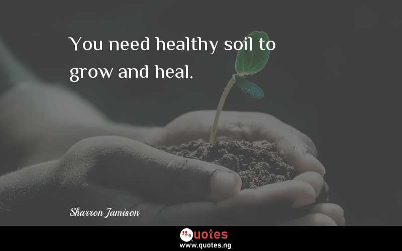 You need healthy soil to grow and heal.